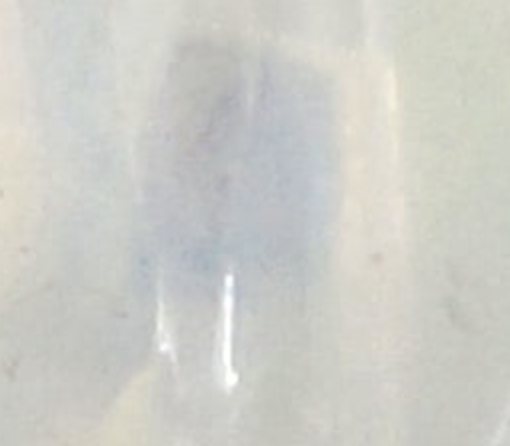 Moonstone