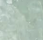 Fluorine