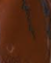 Red Jasper