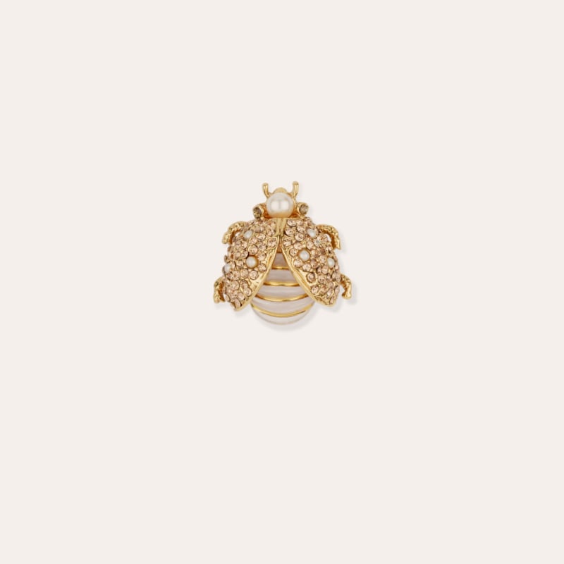 Coccinelle brooch