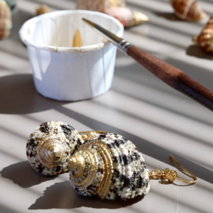 Seashells
